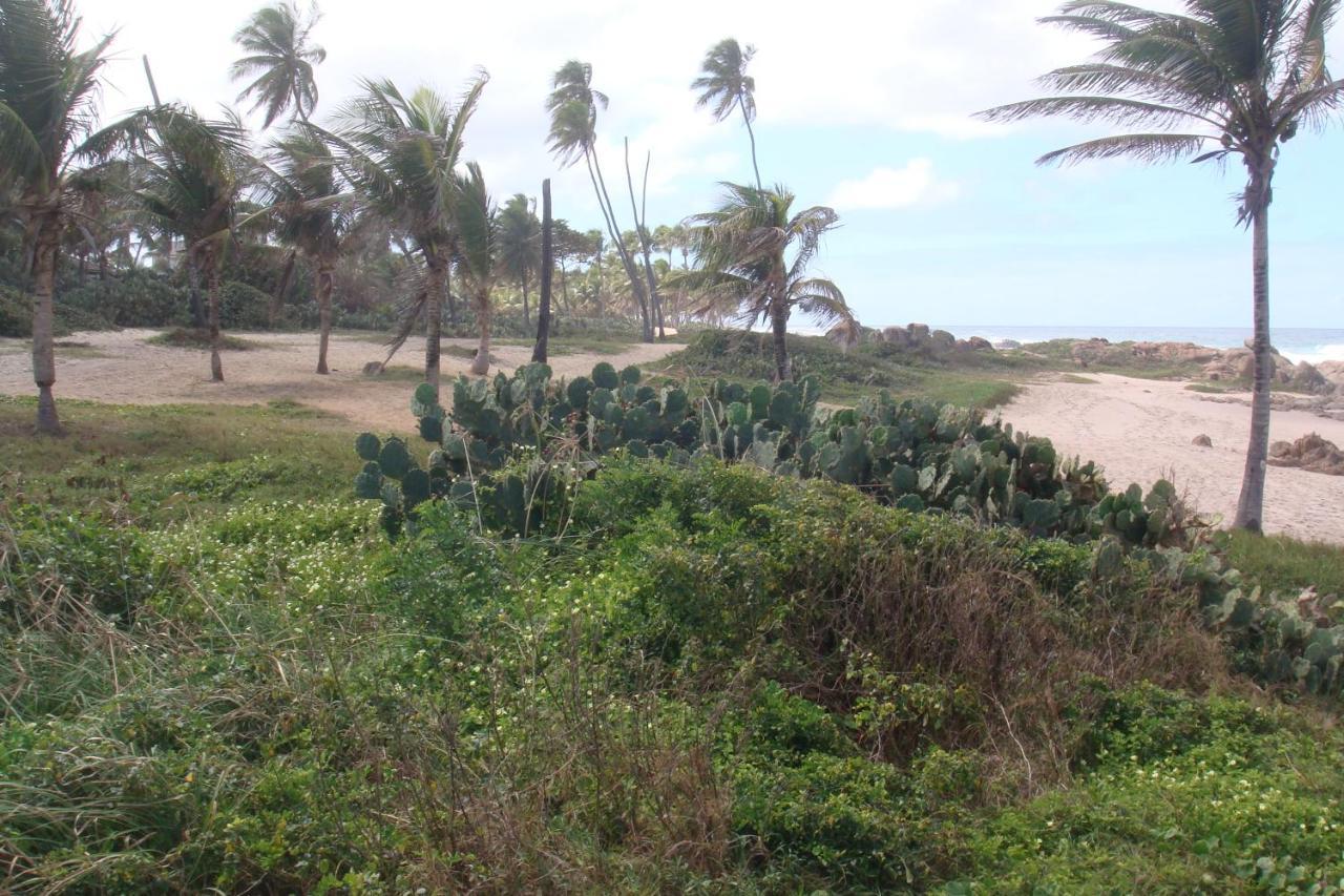 Stellamares Suites Salvador Buitenkant foto